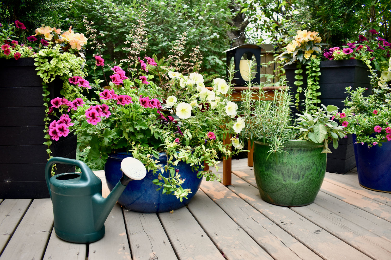 Discover Our Latest Range