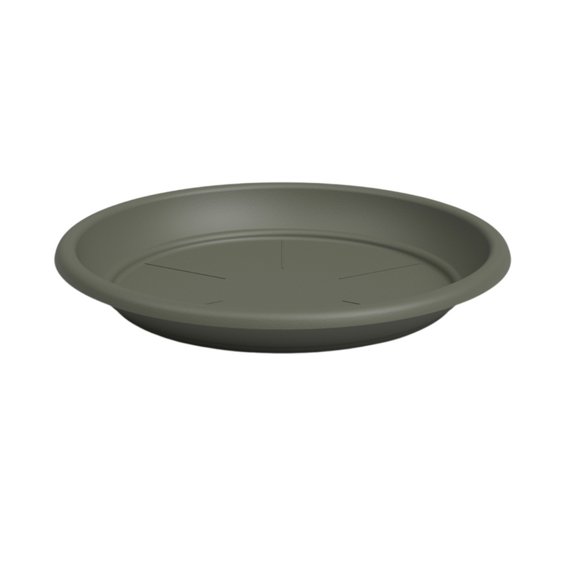 Artevasi Round Saucer Dry Green 18cm