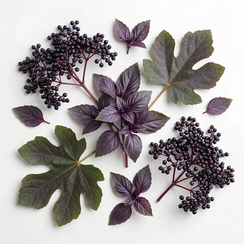 Ashleigh & Burwood Elderberry & Purple Basil Scented Ceramic & Spray