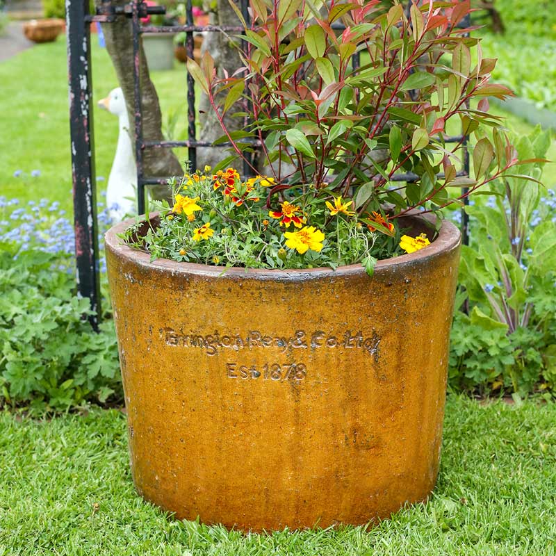 Glazed Pots