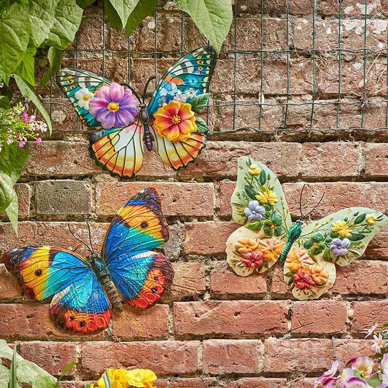 Smart Garden Papillon Mixed Case