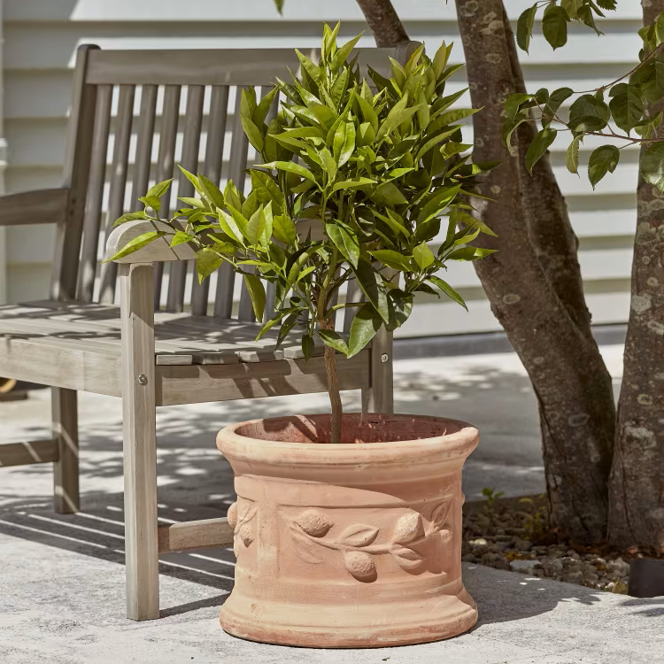 Terracotta Pots