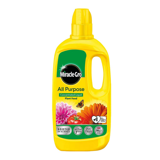 Yellow bottle of Miracle-Gro All Purpose Concentrated Liquid Plant Food at Carpenders Park Garden Centre