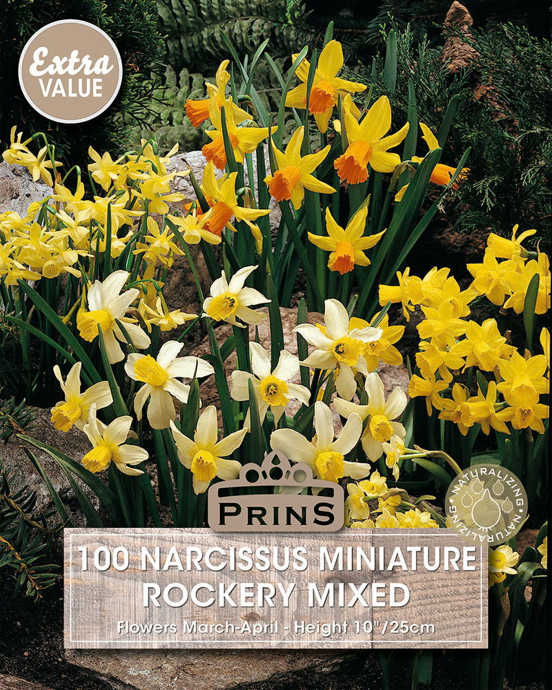 Prins Narcissus Rockery Mixed 100 P.P.