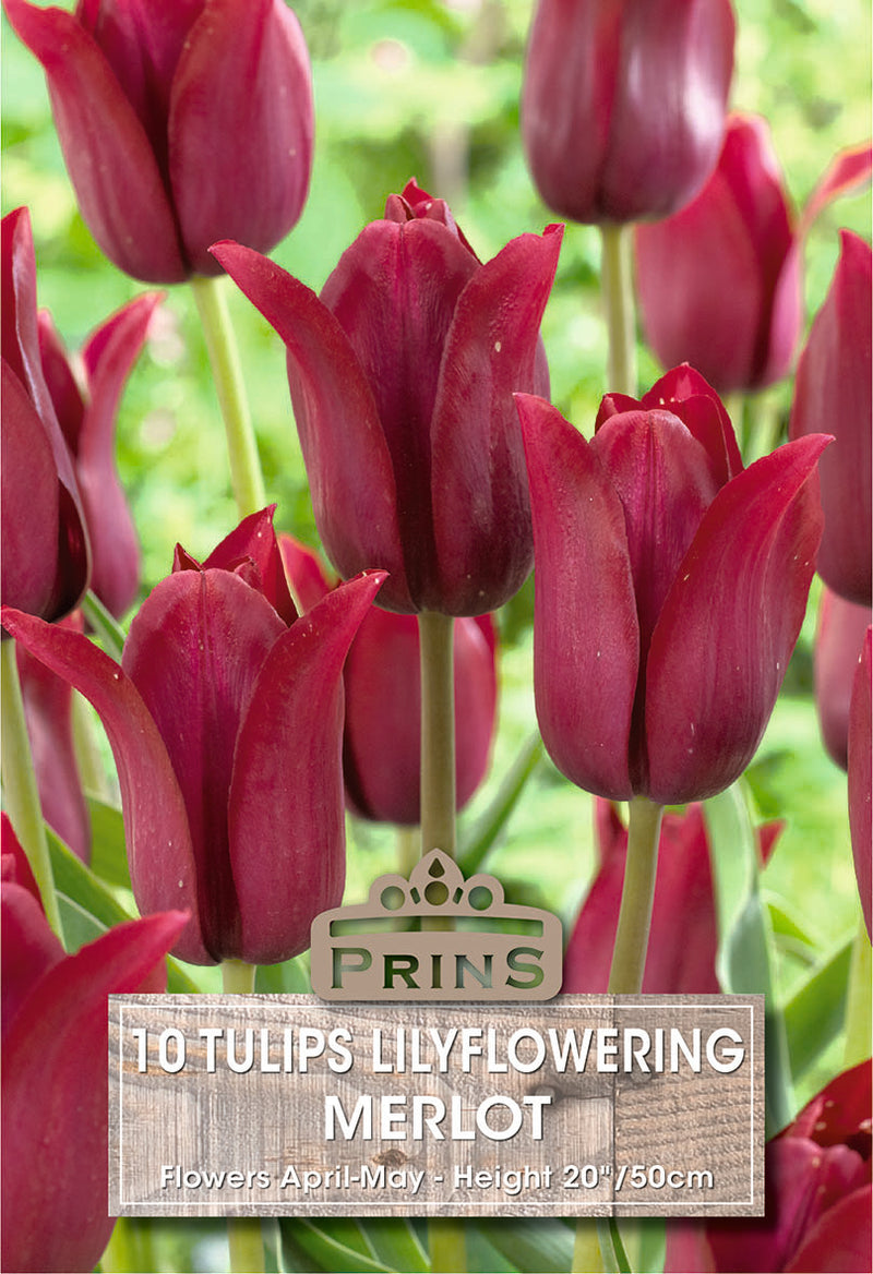 PRINS Tulips Merlot