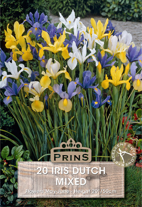 PRINS Iris Dutch Mixed