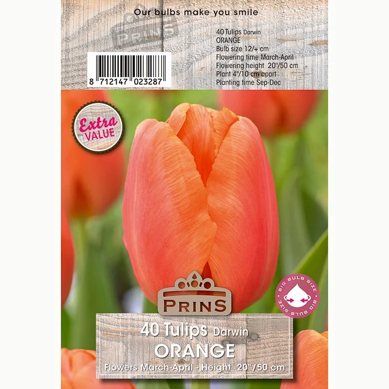 PRINS Tulips Orange 40 P.P.