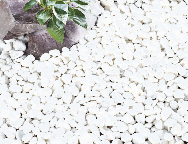 Kelkay Coral White Pebbles