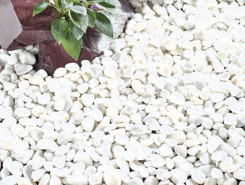 Kelkay Coral White Pebbles