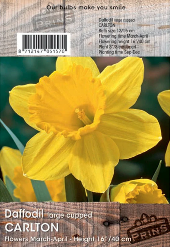 Prins Daffodil Carlton 3 Kg