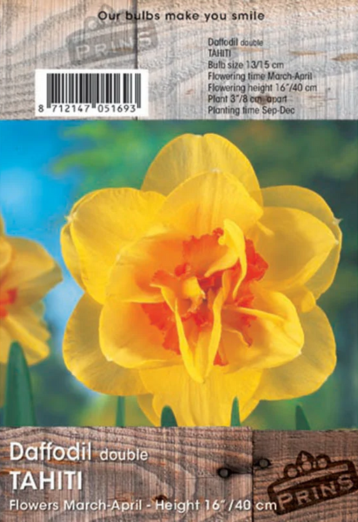 Seed packet for Daffodil double TAHITI, featuring a large photograph of a bright yellow daffodil with an orange-red center against a blurred blue and green background. The top section shows product details, barcode, and branding on a rustic wood texture.