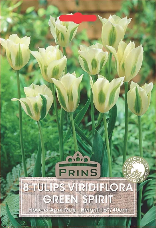 Prins Tulips Green Spirit 10 P.P.