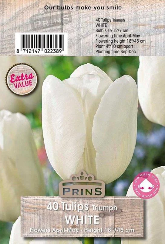 Prins Tulips White 40 P.P.