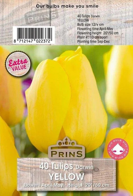 Prins Tulips Yellow 40 P.P.