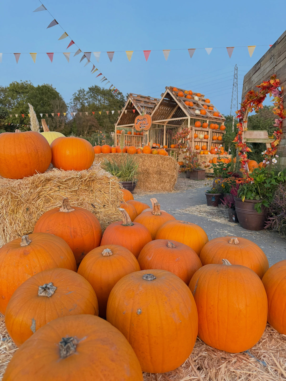 White Glove Service — Carpenders Park Garden Centre