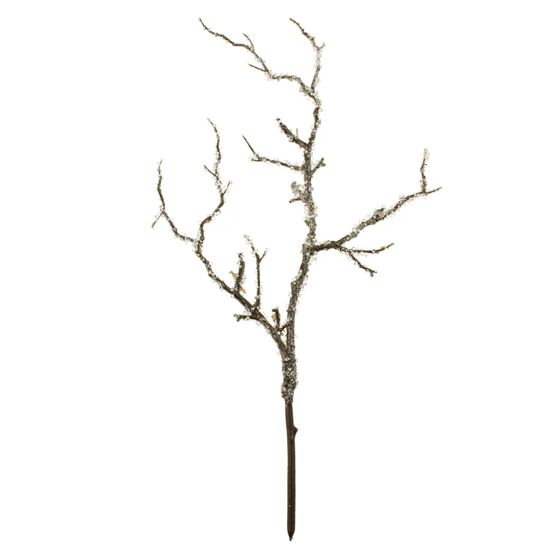 Sage Décor 56cm Iced Branch