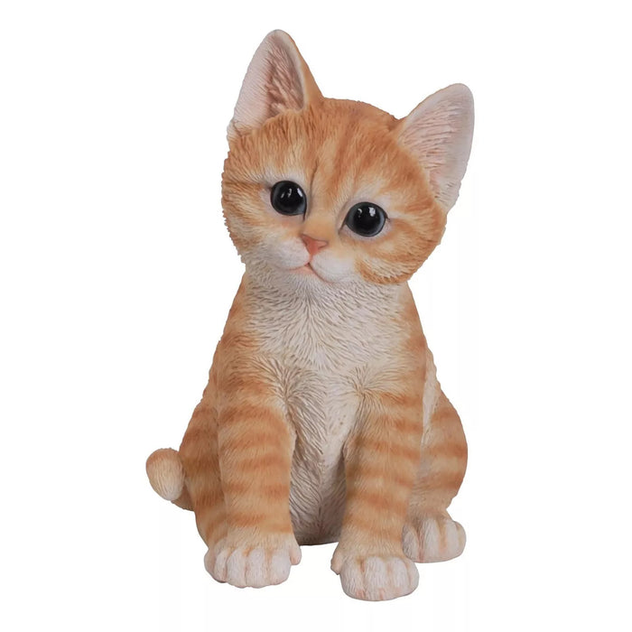 Vivid Arts PP Kitten Ginger F