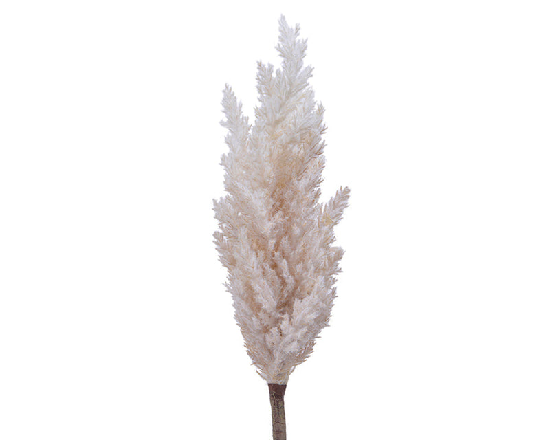 Kaemingk Pampas Grass Plume On Plastic Stem