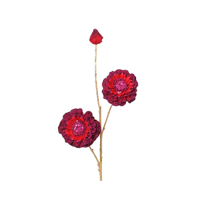 Kaemingk Spray Zinnia Glitter Edge Oxblood (L.17Cm X W.9Cm X H.74Cm)