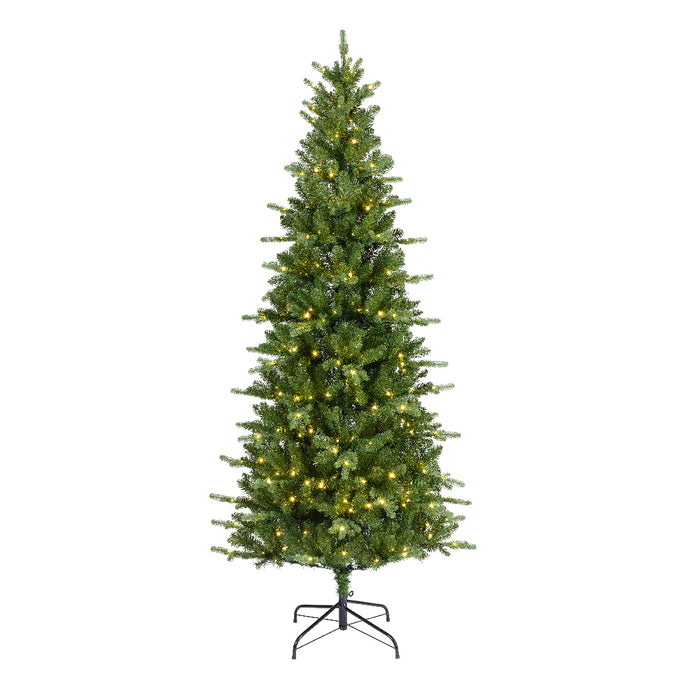 Kaemingk LED Killington Fir Tree (Dia.103Cm X H.210Cm)