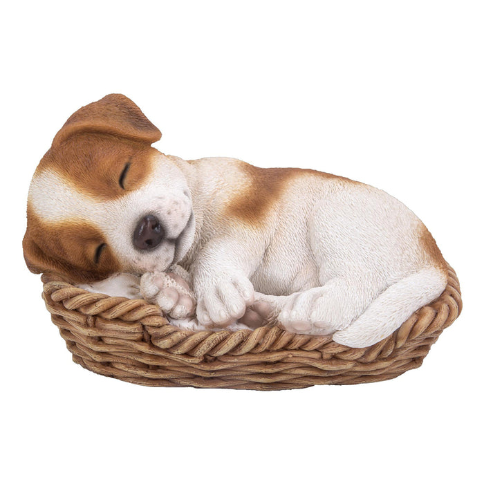 VIVID  Jack Russell In Basket