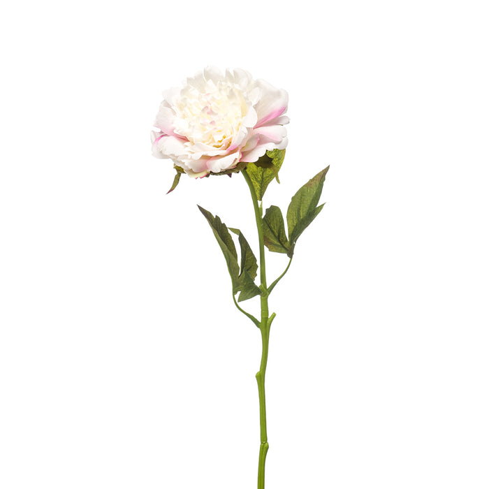 Emerald Peony Spray Rt White/Pink 56cm