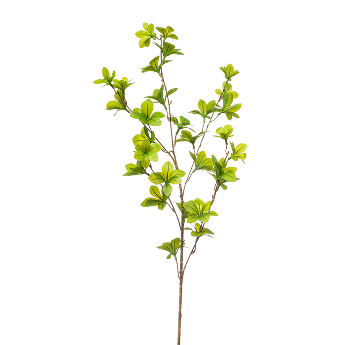 Emerald Tropaeolum Spray x5 Green 90cm