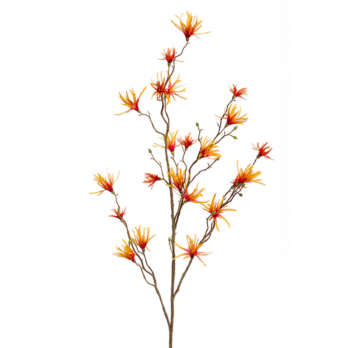Emerald Hamamelis Spray 120cm Orange/Yellow