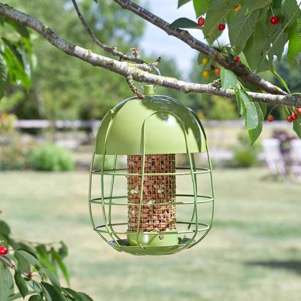 Chapelwood Acorn Squirrel Proof Peanut Feeder