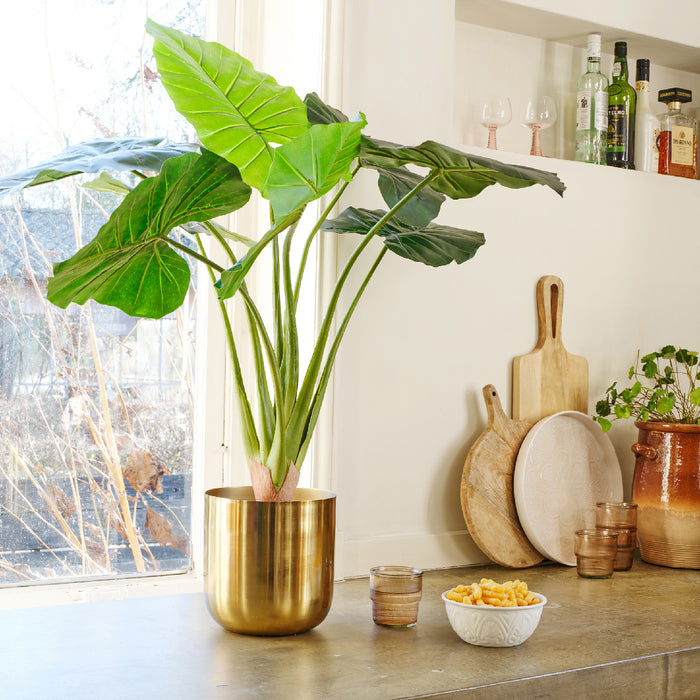 Kaemingk Taro Taro In Pot Plastic