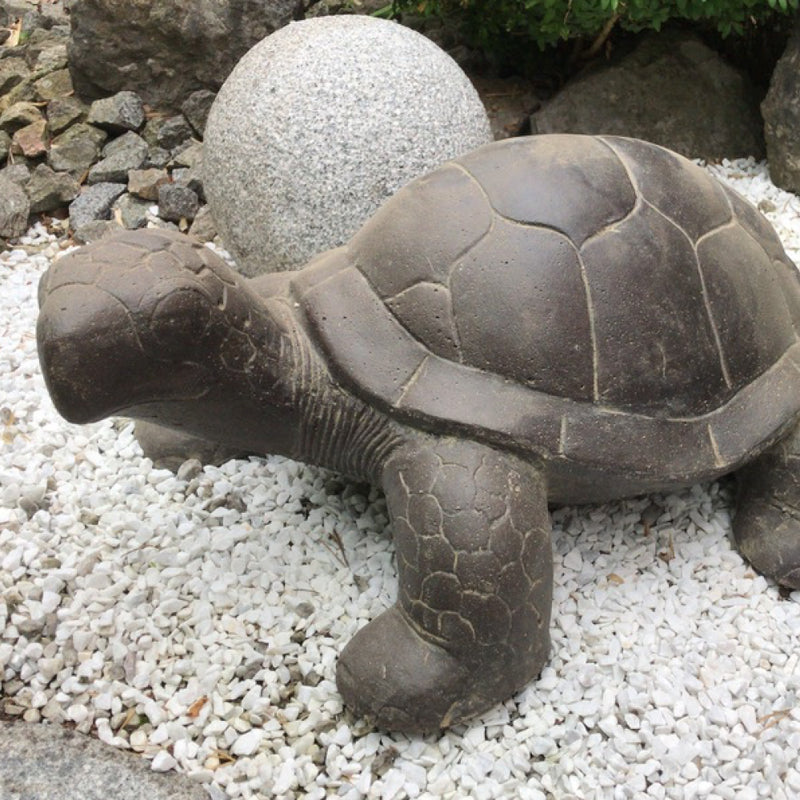 Turtle 60cm