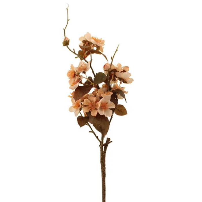 Sage Décor  Dried Image Blossom Spray 67Cm