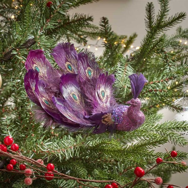 Smart Garden Peacock - Amethyst
