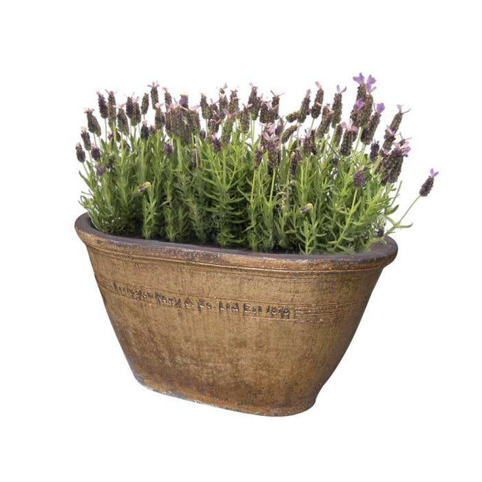 ERRINGTON REAY Oval Tub Old Leather S4