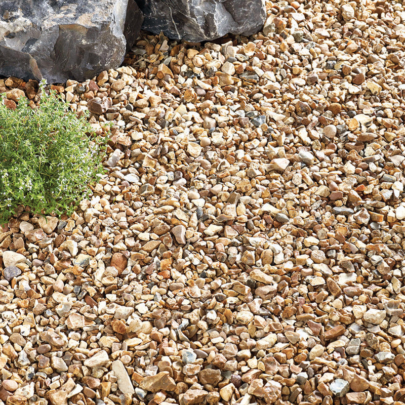 Kelkay Golden Gravel