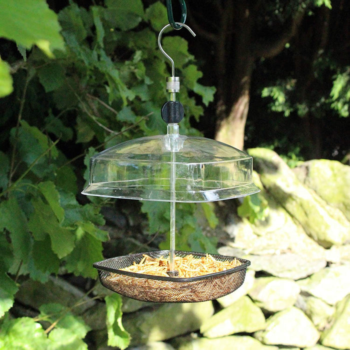 Chapelwood Mealwom & Suet Feeder