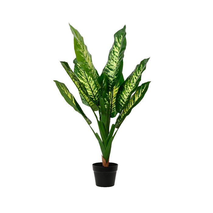 Kaemingk Plant Dieftenbachia Leaves In Pot PE