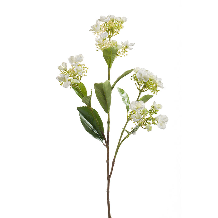 HYDRANGEA Spray 75cm Cream