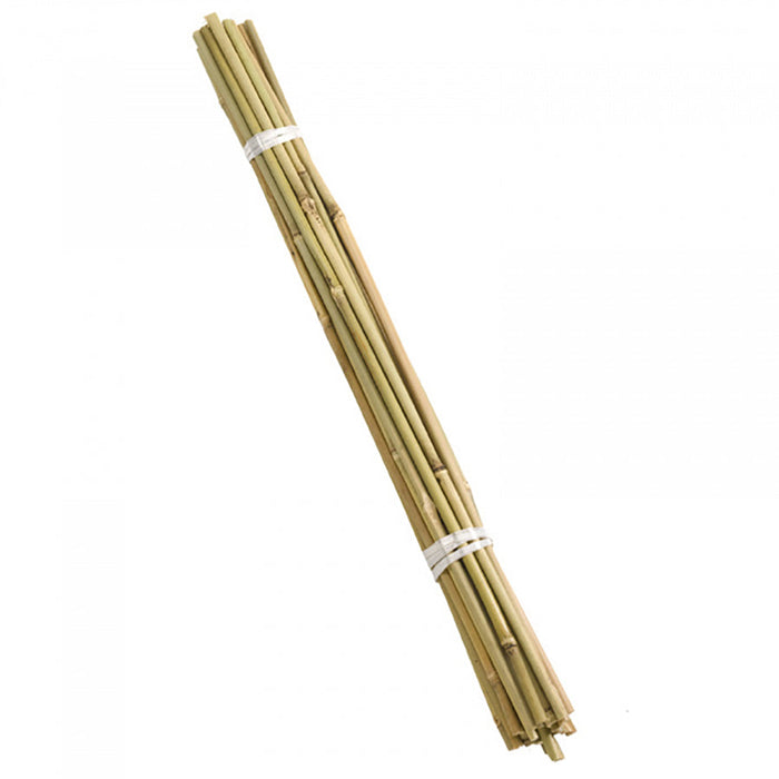 SmartGarden Bamboo Canes 120 cm bundle of 20 ***