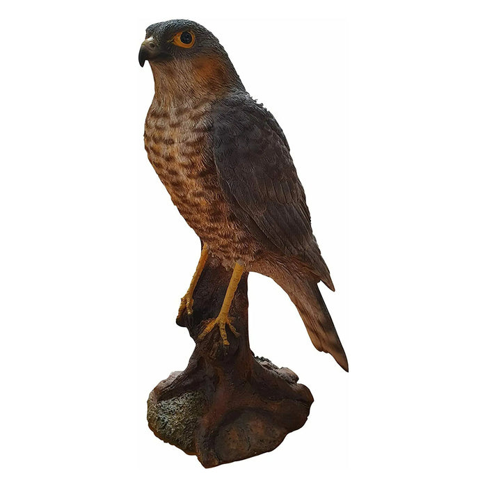 Vivid Arts Real Life Sparrowhawk D