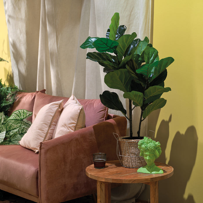 Kaemingk Fig Tree Fig Tree In Pot Plastic