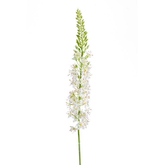 Emerald Eremurus Spray 105cm Cream
