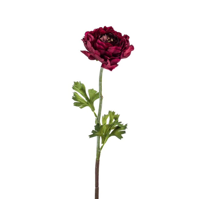 EEG Ranunculus Spray Burgundy 50cm