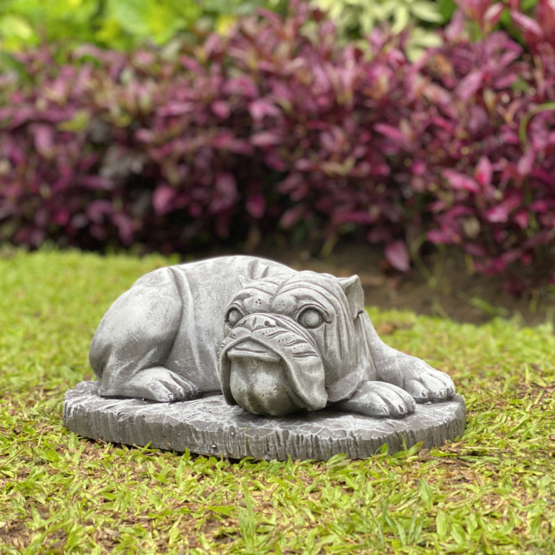 Lying Bulldog 38cm