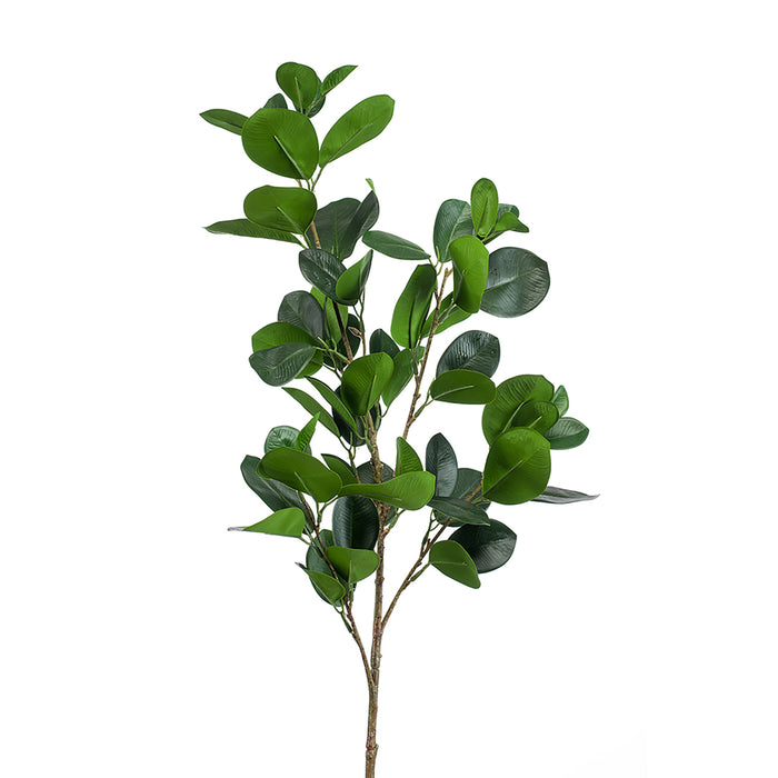 EEG Ficus panda Spray Green 90cm