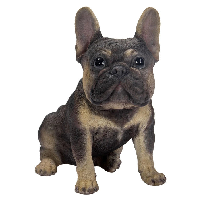 Vivid Arts Rl Lilac Tan French Bulldog D