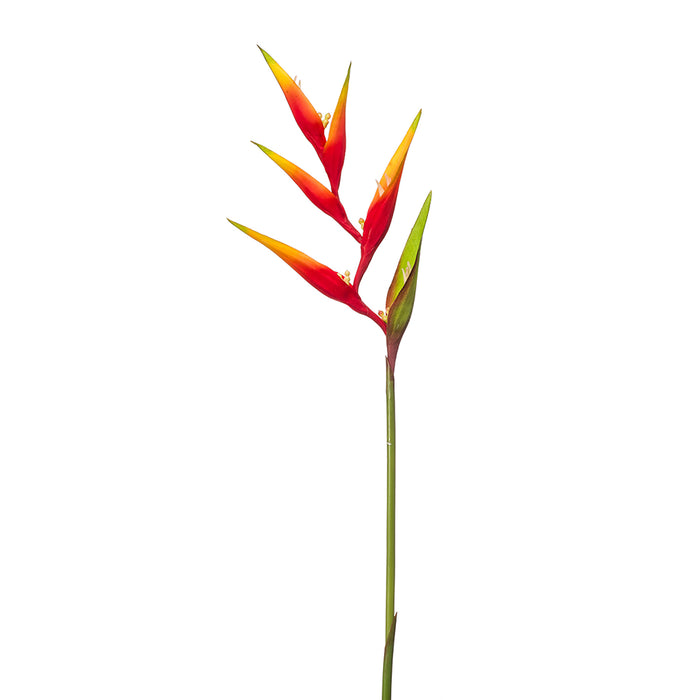 Emerald Heliconia Spray Red/Yellow 80cm