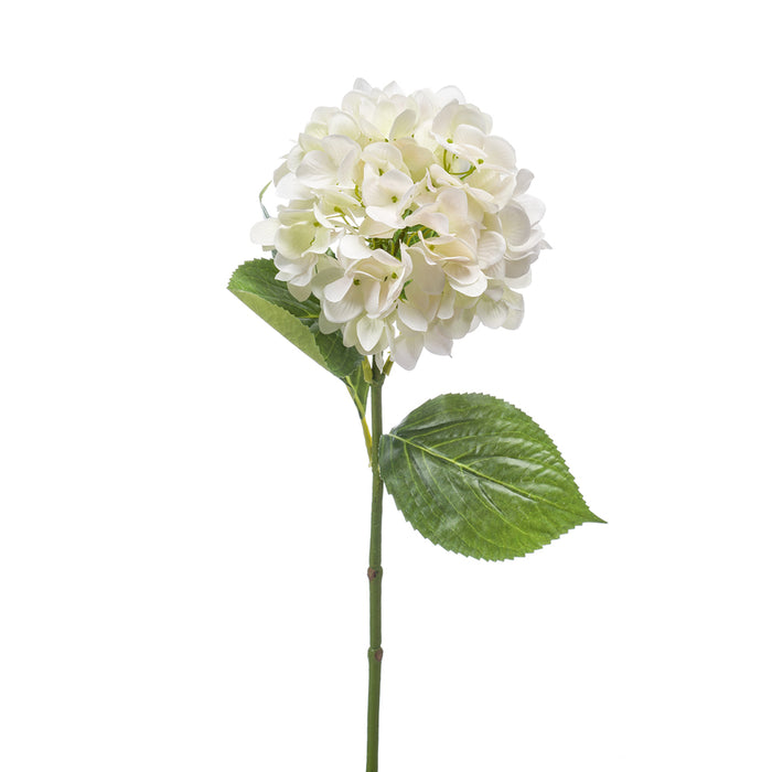 Emerald Hydrangea Stem 67cm White