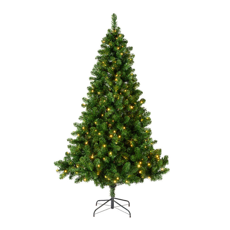 Kaemingk LED Imperial Pine Tree (Dia.137Cm X H.210Cm)