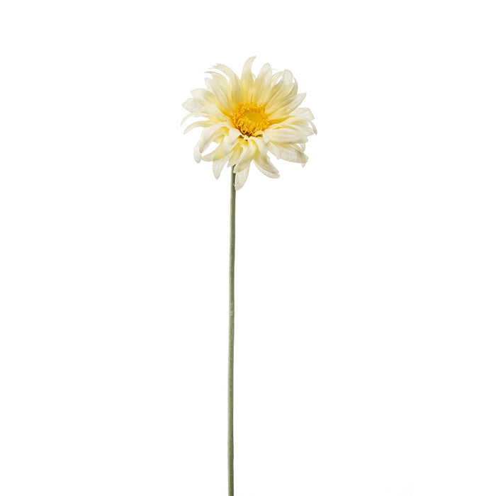 Emerald Gerbera Mini Spray Lt. Yellow 50cm